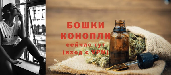 не бодяженный Няндома