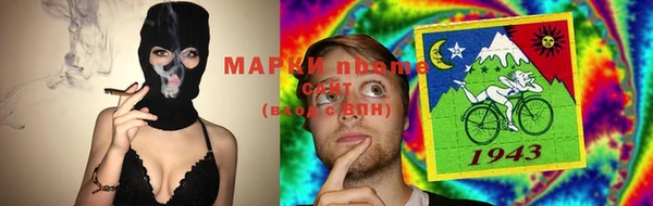 шишки Бикин