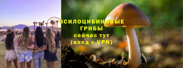 шишки Бикин