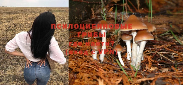 mix Осташков