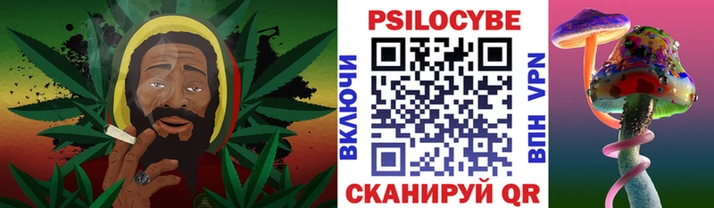Псилоцибиновые грибы Cubensis  mega как войти  Ужур 